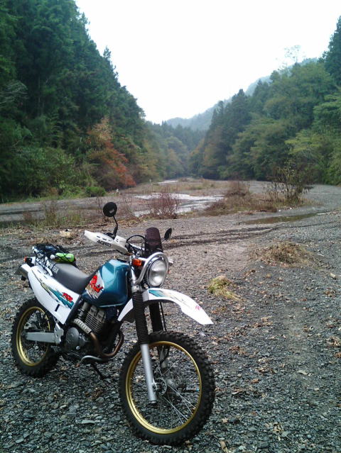 photo17Eʐ^4ڂ̃|Cg200mn_B